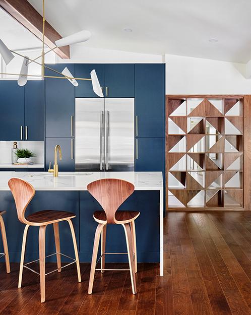 Kenilworth Mid Century Modern Project (42)